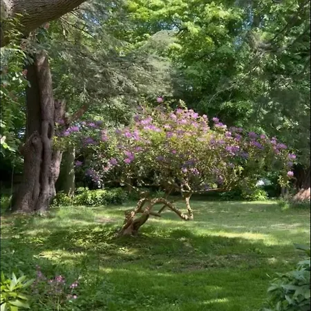 Historic Manor House In The Heart Of Normandie Saint-Martin-Aux-Arbres